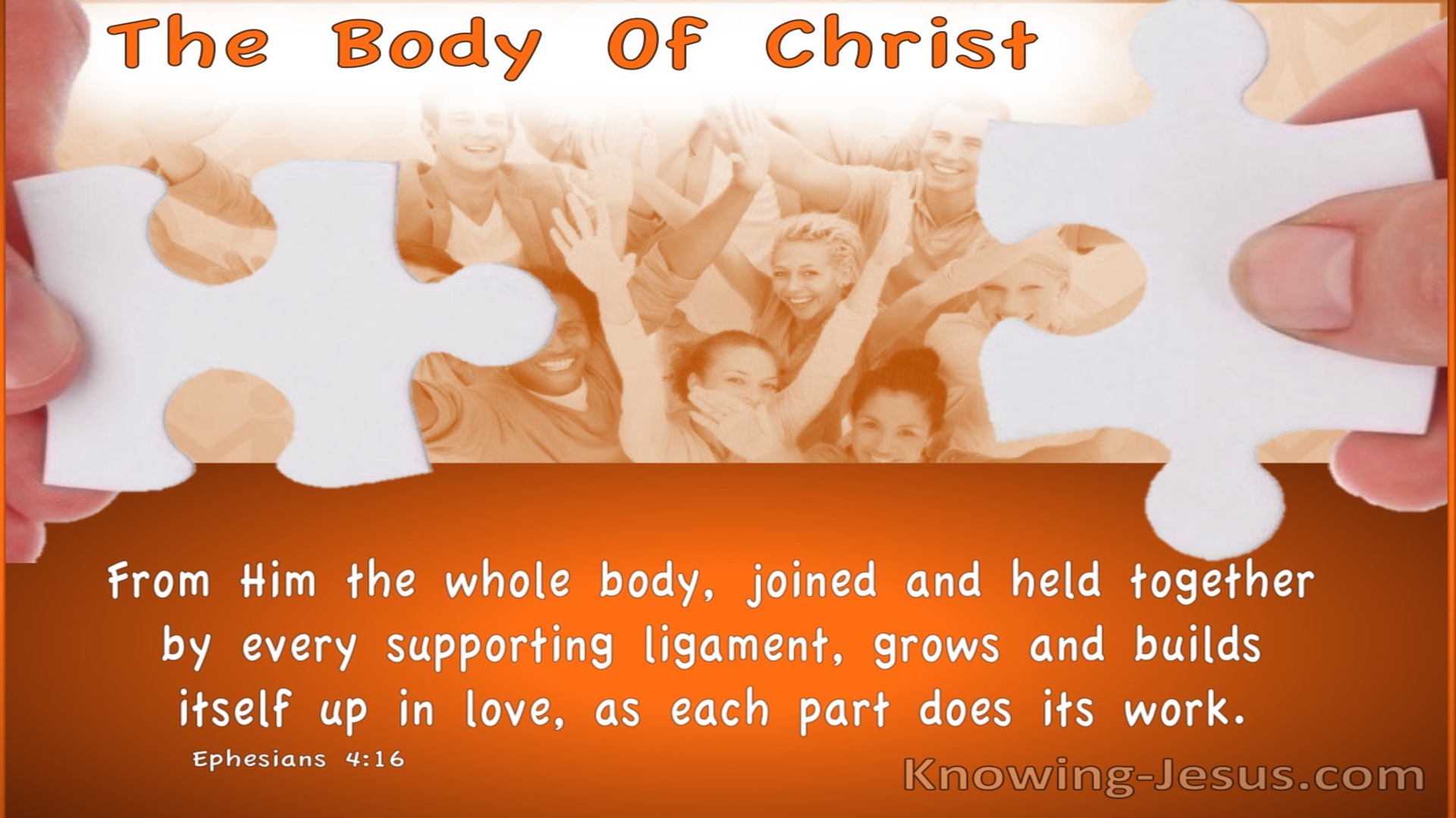 Ephesians 4:16 Body Building (devotional)12:10 (orange)